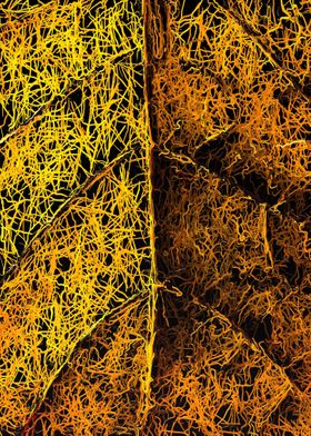 psychedelic yellow leaf texture abstract 