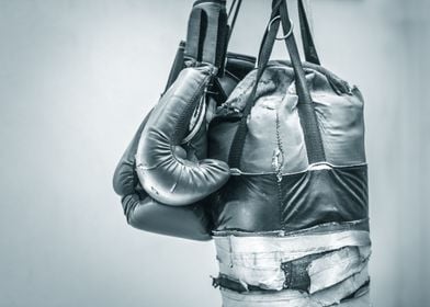 Punching bag and boxing gloves photograph