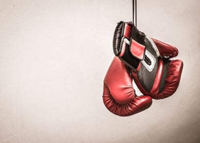 Pair of boxing gloves photograph