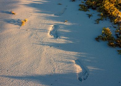 Photograph of some footprints on the beach