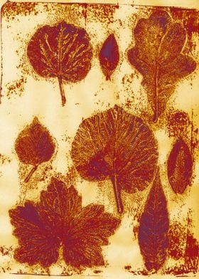 leaf print