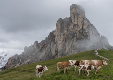 Dolomites 08 - Italy