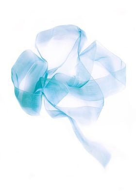 Blue nylon ribbon