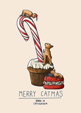 Merry Catmas, born in the Cativersum