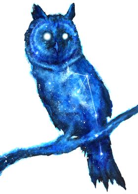 Space Owl / Double Exposure Animals