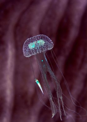 Inverted Jellyfish with fish