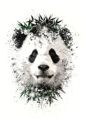 Panda with green bamboo 