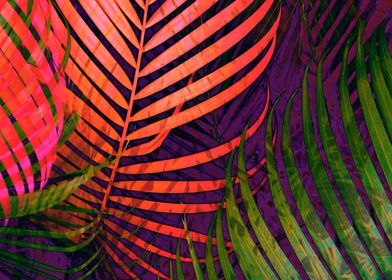 COLORFUL TROPICAL LEAVES no5