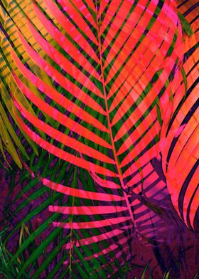 COLORFUL TROPICAL LEAVES no6