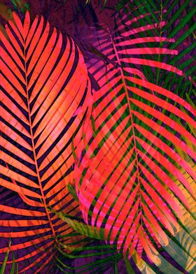 COLORFUL TROPICAL LEAVES 2