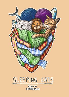Sleeping Cats, born in the Cativersum