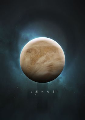 A Portrait of the Solar System: Venus