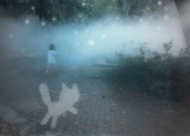 Girl in the magic mist