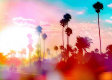 palm tree with sunset sky and light bokeh abstract