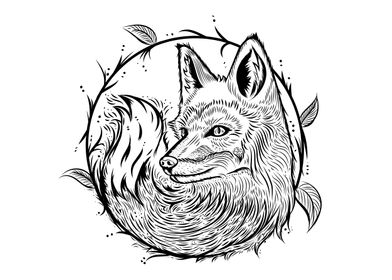 fox circle