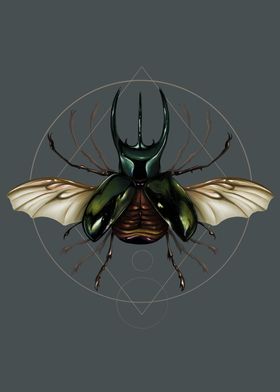 Vitruvian Beetle