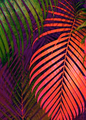 COLORFUL TROPICAL LEAVES v1