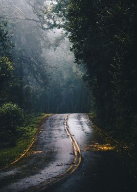 Hidden Road
