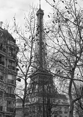 Paris Eiffel Tower