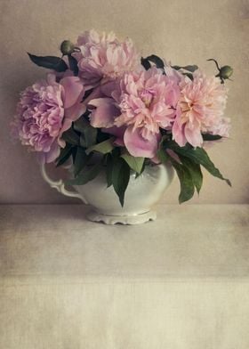 Fresh pink  peonies in a white flowerpot