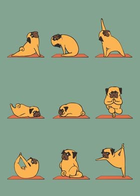 Pug Yoga