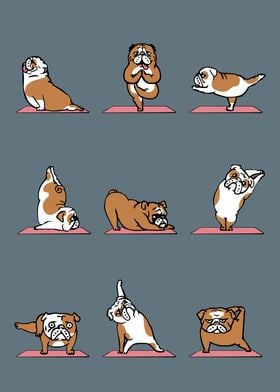 English Bulldog Yoga