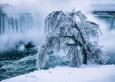A Frozen Niagara