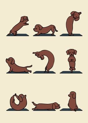 Dachshund yoga