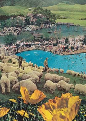 Sheep Farm [collage]