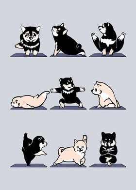 Shiba Yoga