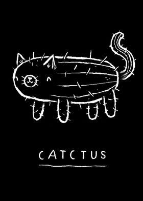 catctus!