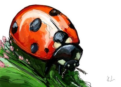Mister ladybug