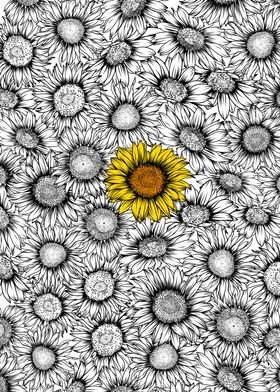 Sunflower pattern