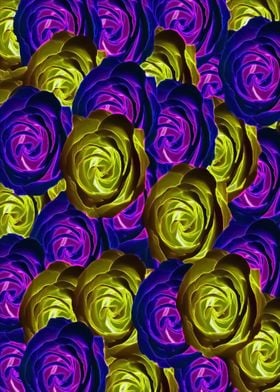 blooming rose texture pattern abstract background 