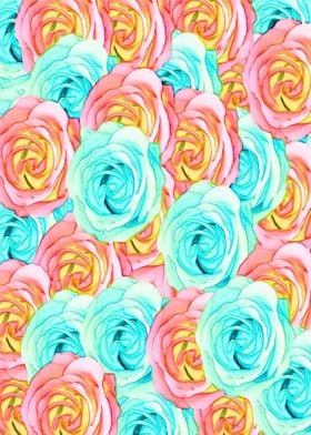 blooming rose texture pattern abstract background 