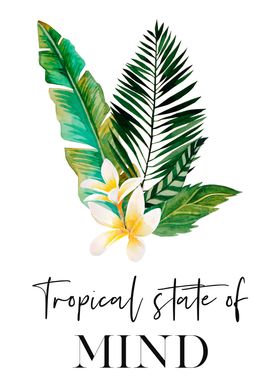 Tropical State of Mind