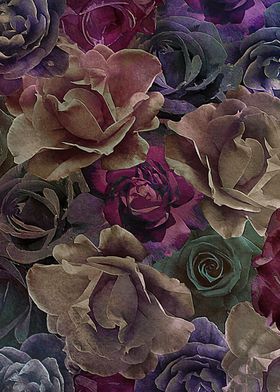Mysterious Roses