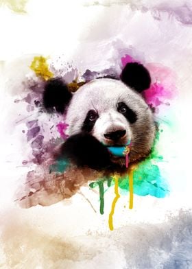 Bear panda