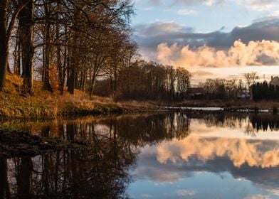 Golden Reflection