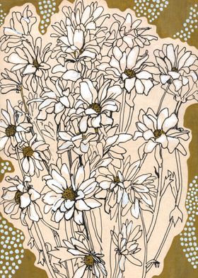 Chrysanthemum, ink sketch
