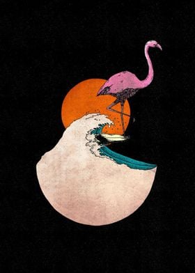 flamingo surf