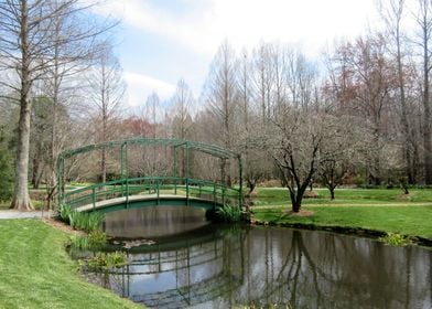 Reflective Pond