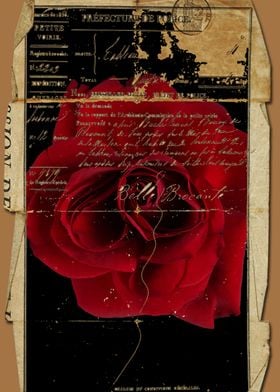 Vintage rose