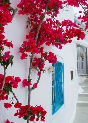 Beautiful Santorini