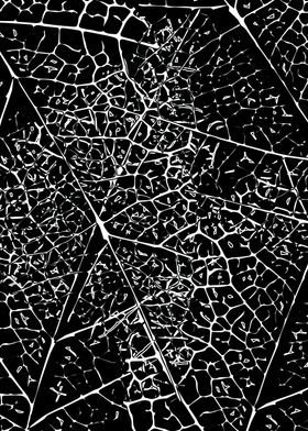 black leaves design
