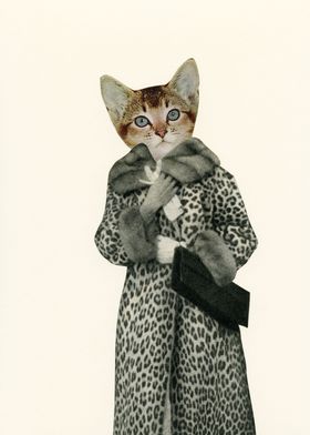 Kitten Dressed As Cat