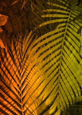 TROPICAL LEAVES GREEN MOCC