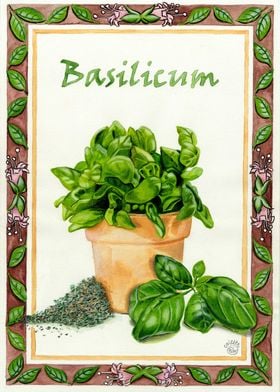 Basilicum
