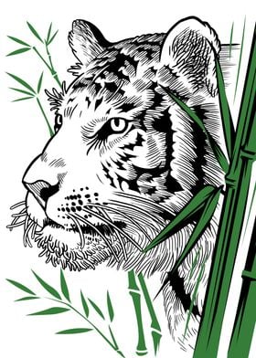 Tiger Bamboo