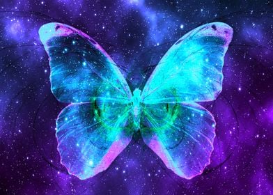 Space Butterfly 2